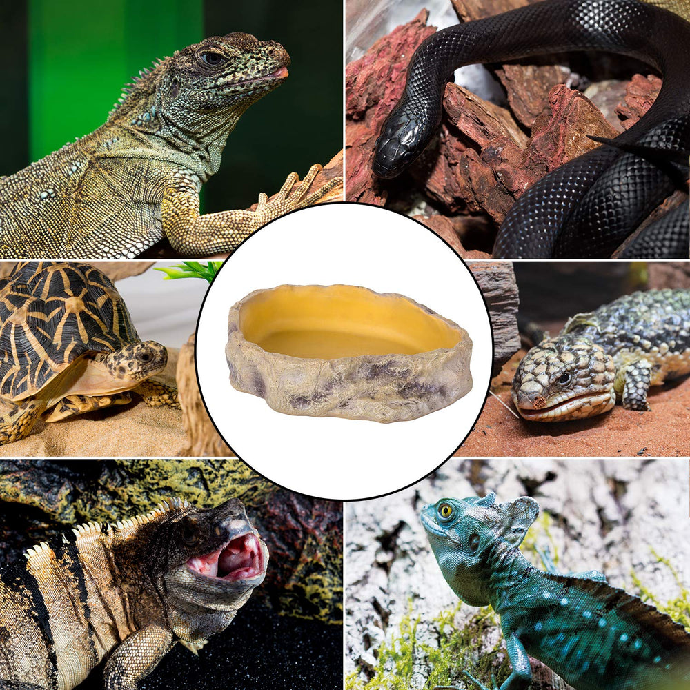 REPTIZOO water bowl anti-tip feature helps prevent spills during play.
