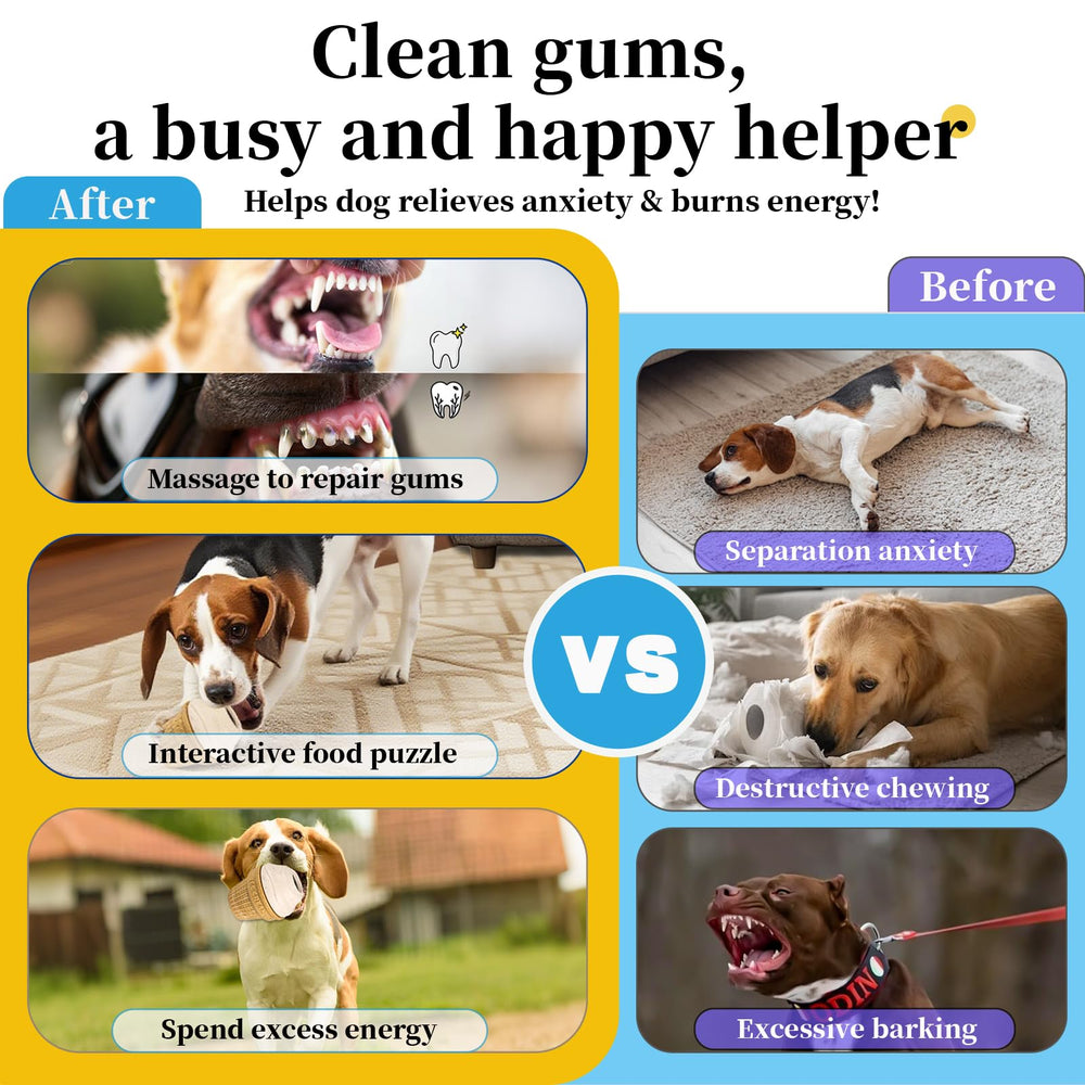 RERBIO fetch-tug design enables indoor play and bonding