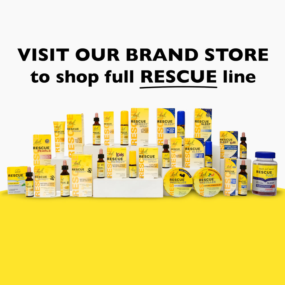 RESCUE Pet Chews for Dogs in a travel bag, convenient calming option on the go.