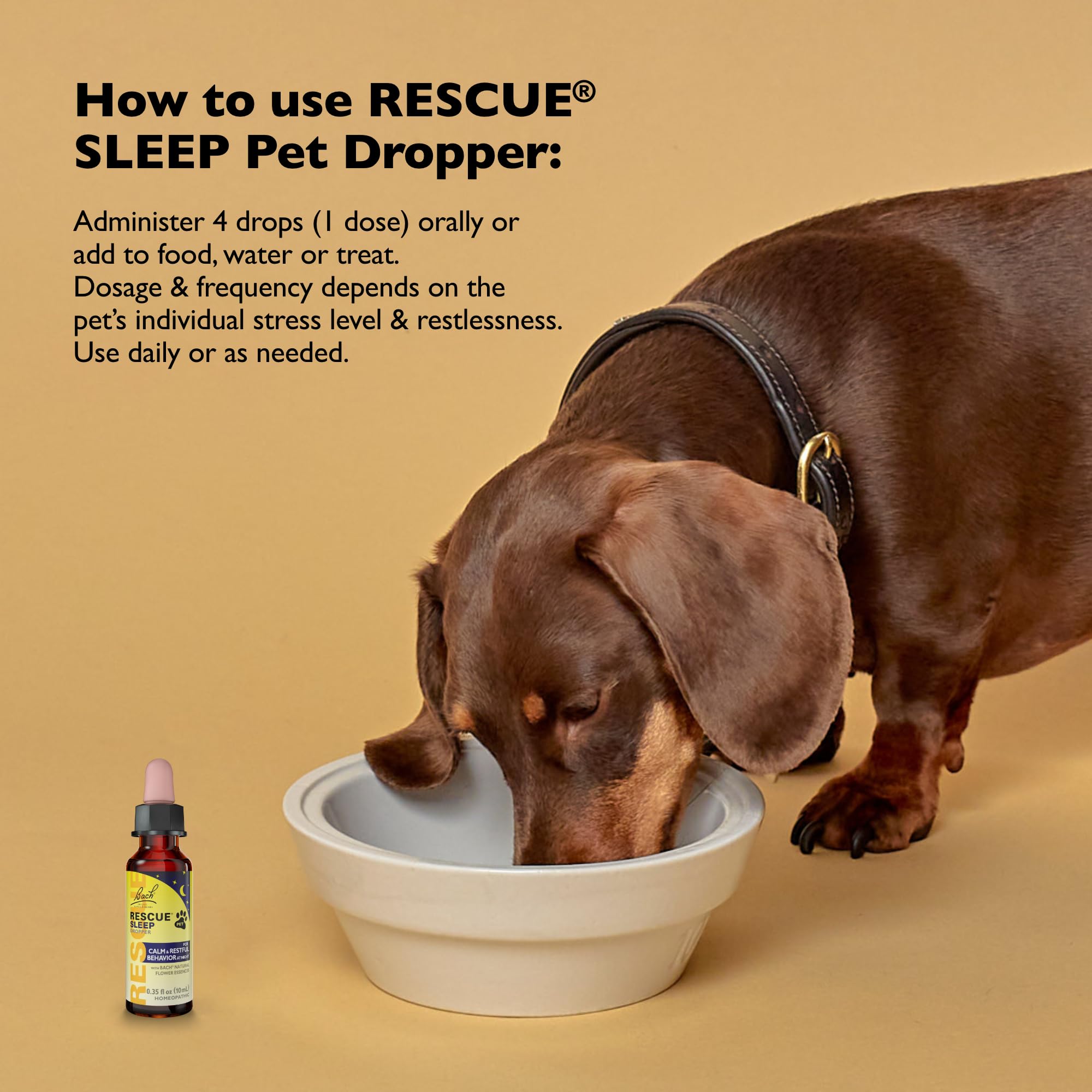 RESCUE Pet Sleep Dropper dosing for dogs supports a calmer evening