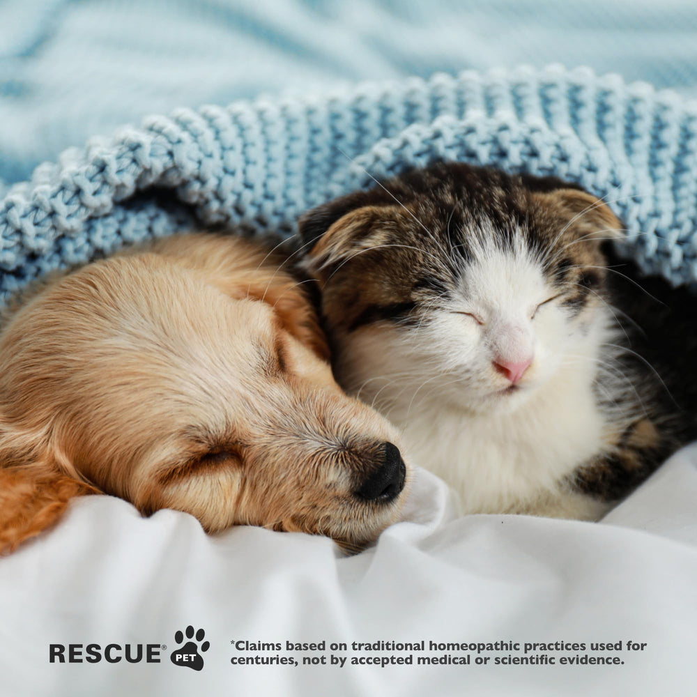 RESCUE Pet Sleep Dropper packaging front highlighting UK-made vegan formula