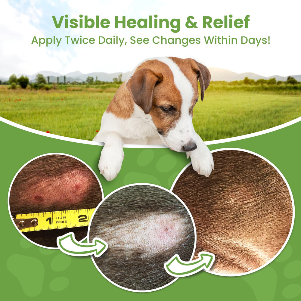 ResQ Organics aloe-vera-vitamin-e-dog-skin-care delivers cooling moisture.