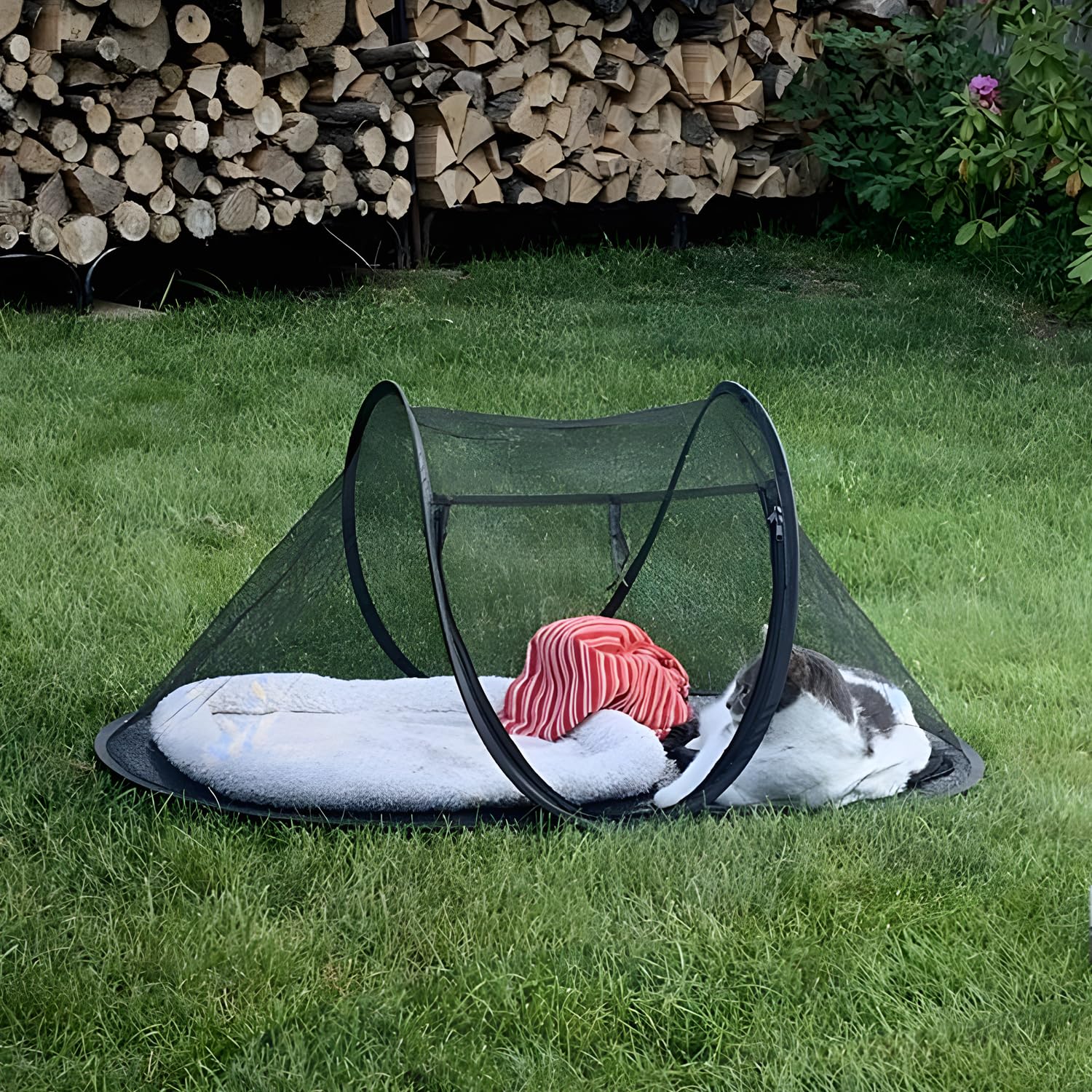 Rest-Eazzzy Cat Tent Outdoor interior invites pets to rest comfortably indoors or on balconies.