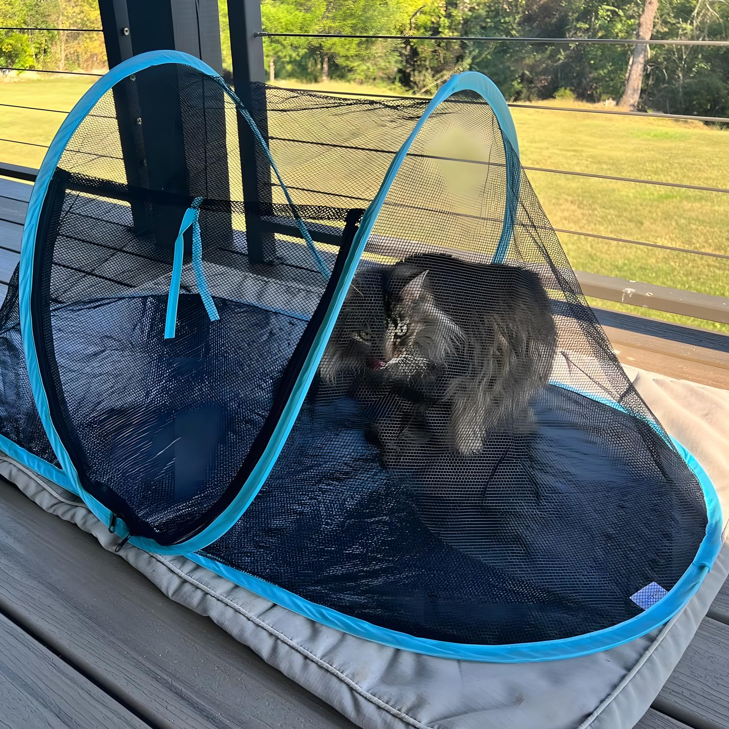 Rest-Eazzzy Cat Tent Outdoor provides ventilation and visibility while you monitor your pet.