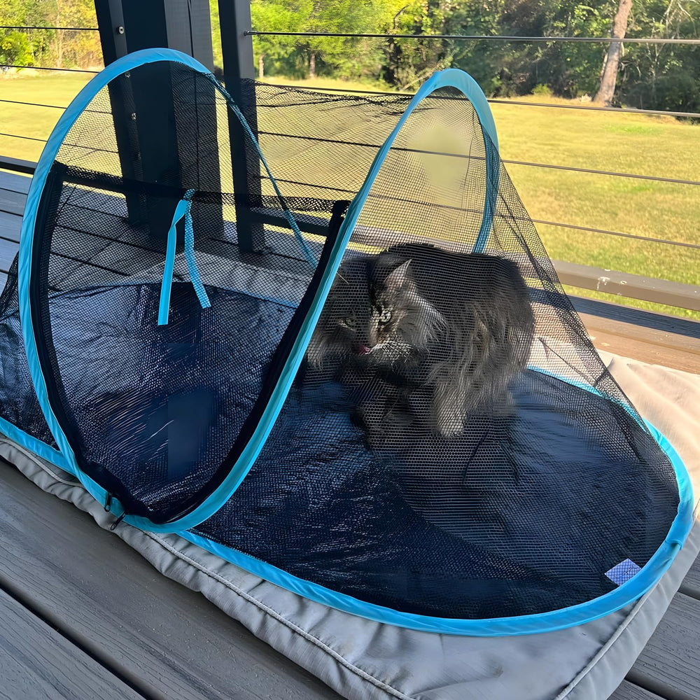 Rest-Eazzzy Cat Tent Outdoor provides ventilation and visibility while you monitor your pet.