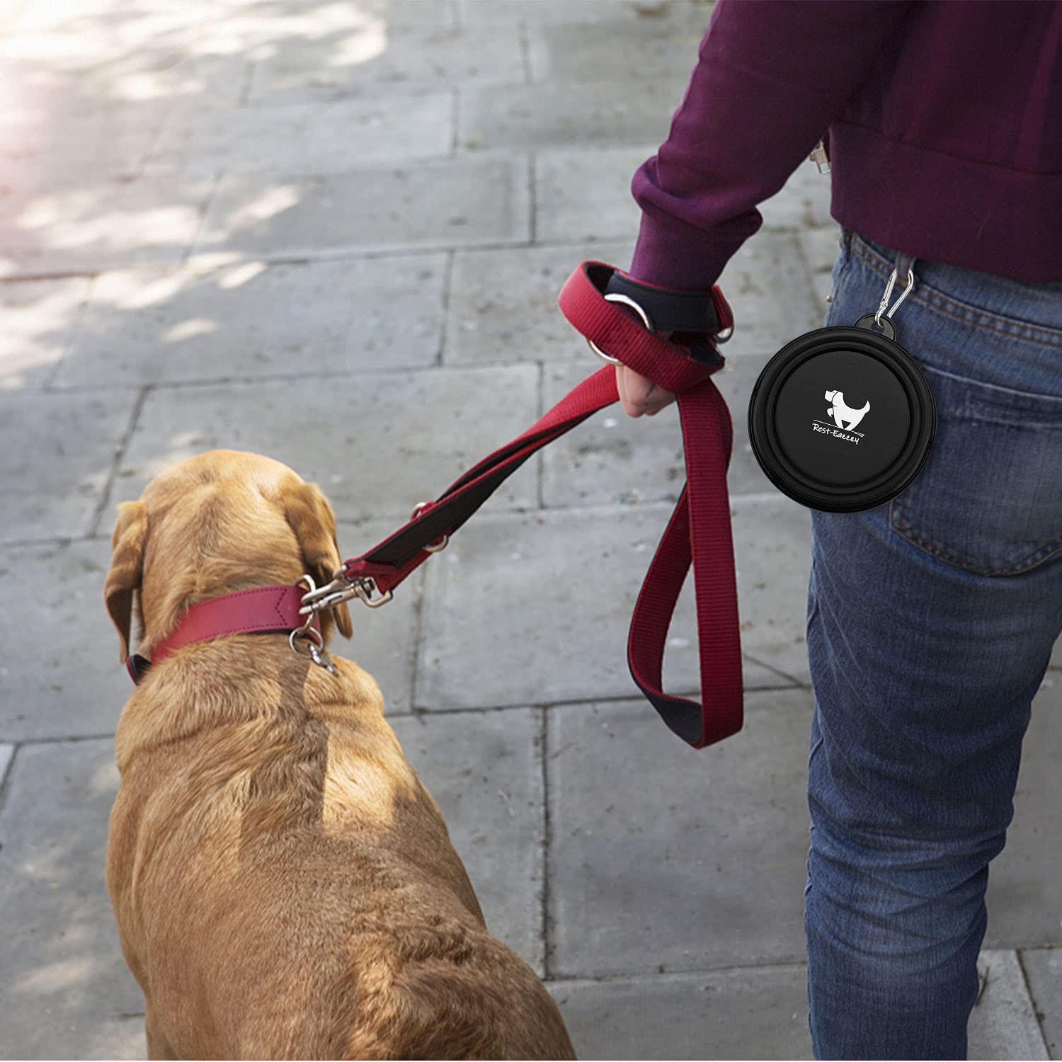 Rest-Eazzzy bowls are suitable for dogs and cats during trips and outings.