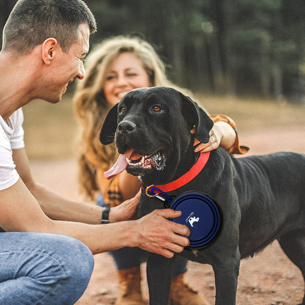 Rest-Eazzzy durable silicone bowl withstands drops and rough use.