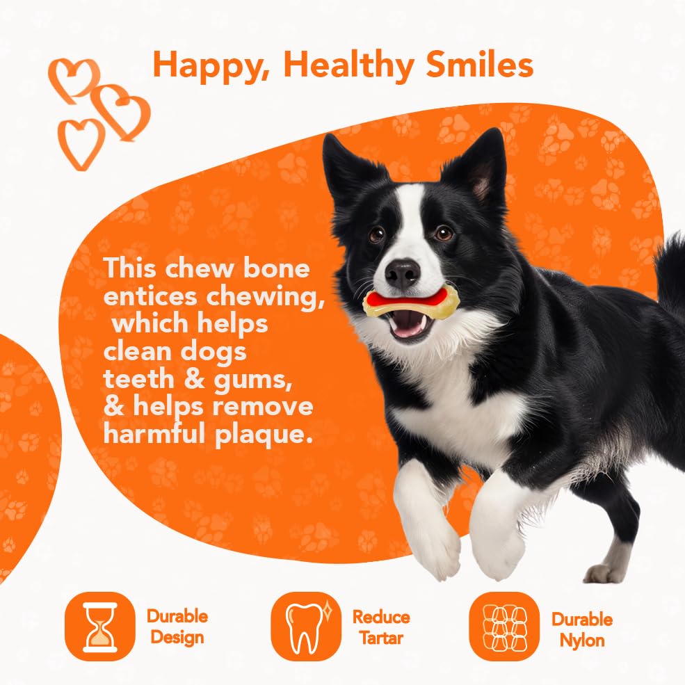 ReThink Pet packaged-display-toy showing compact, gift-ready packaging.