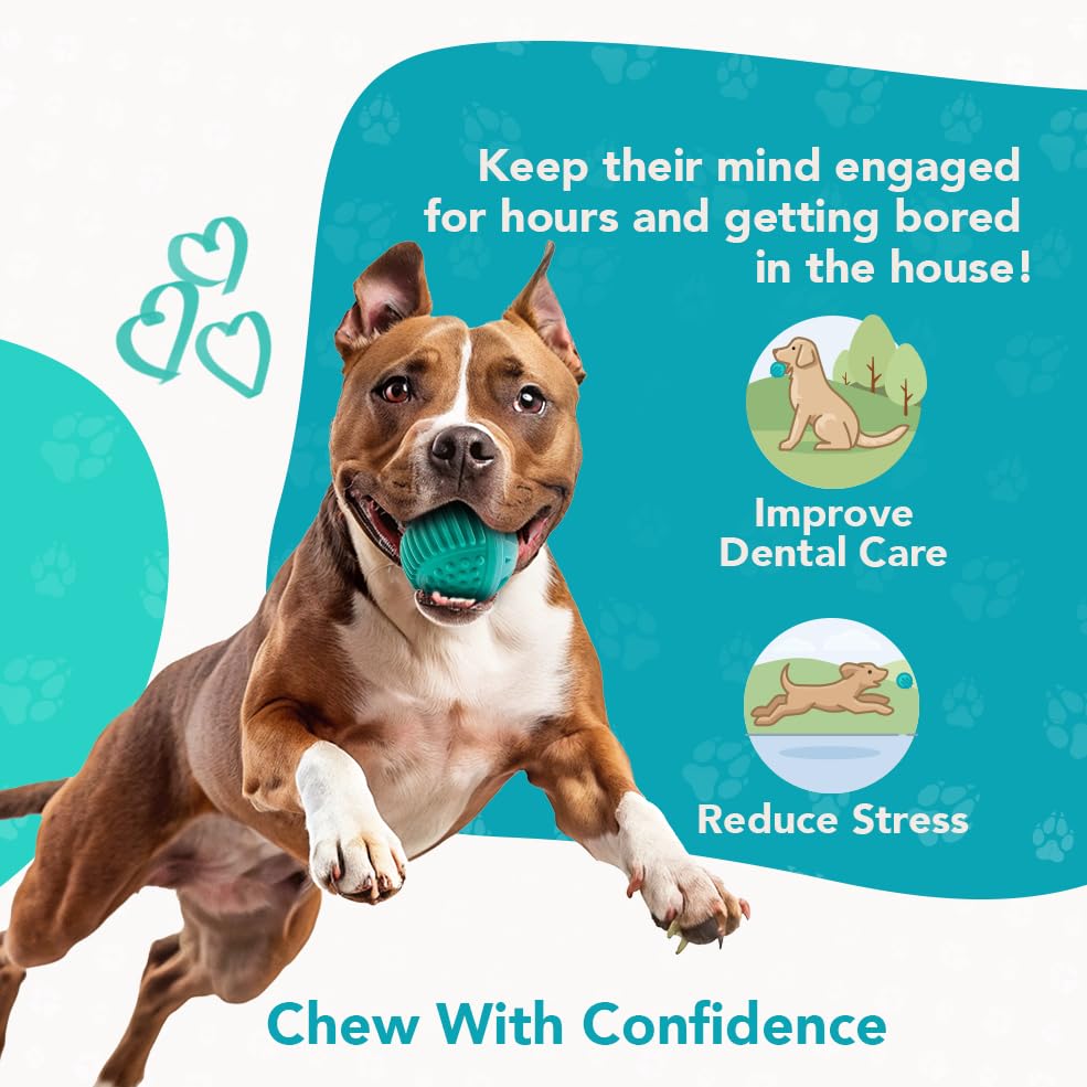 ReThink Pet treat dispenser ball toy in-water use showcases floatability for aquatic or land adventures