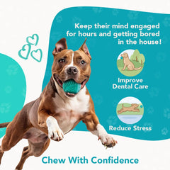 ReThink Pet treat dispenser ball toy in-water use showcases floatability for aquatic or land adventures