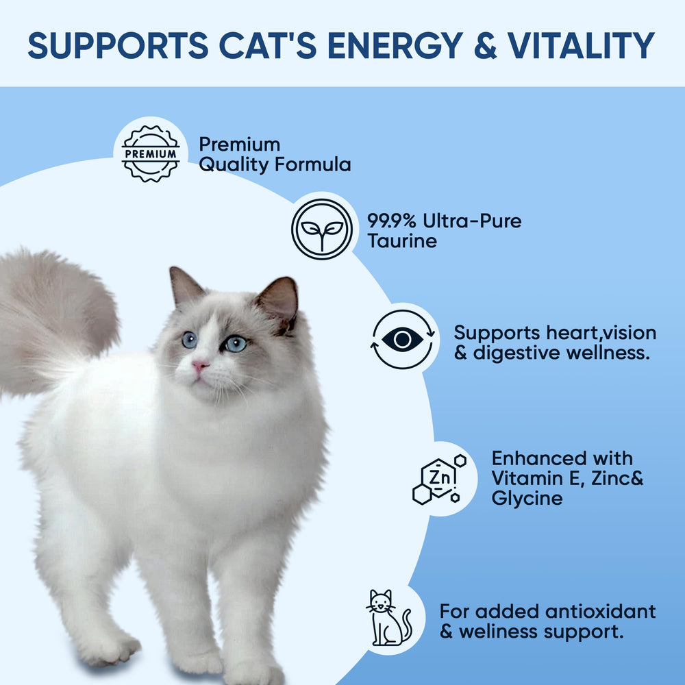 RETPMOSO KittySupps Taurine mixing with cat food illustrates stress free daily nutrition.