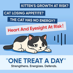 RETPMOSO KittySupps Taurine powder scene shows clean, high quality powder for daily use.