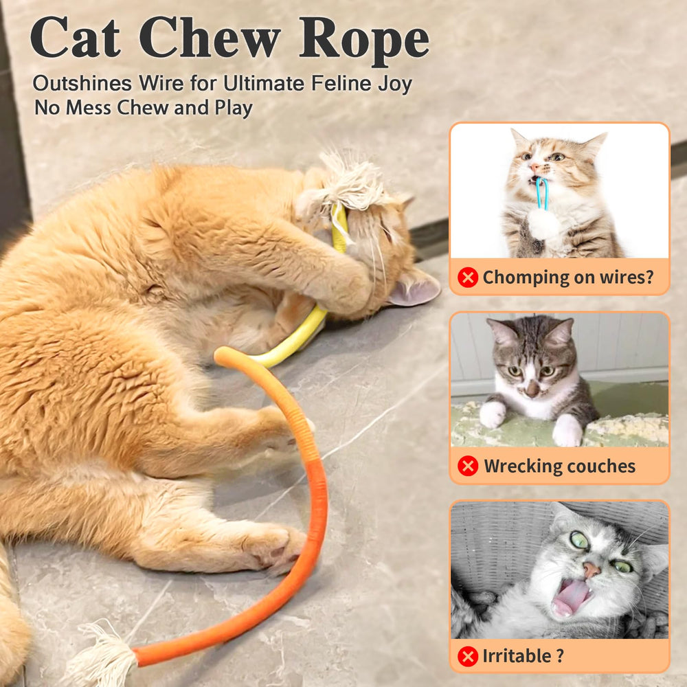 Retro Shaw cat chew rope during kitten play session for exercise