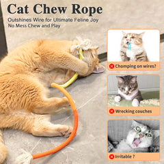Retro Shaw cat chew rope during kitten play session for exercise