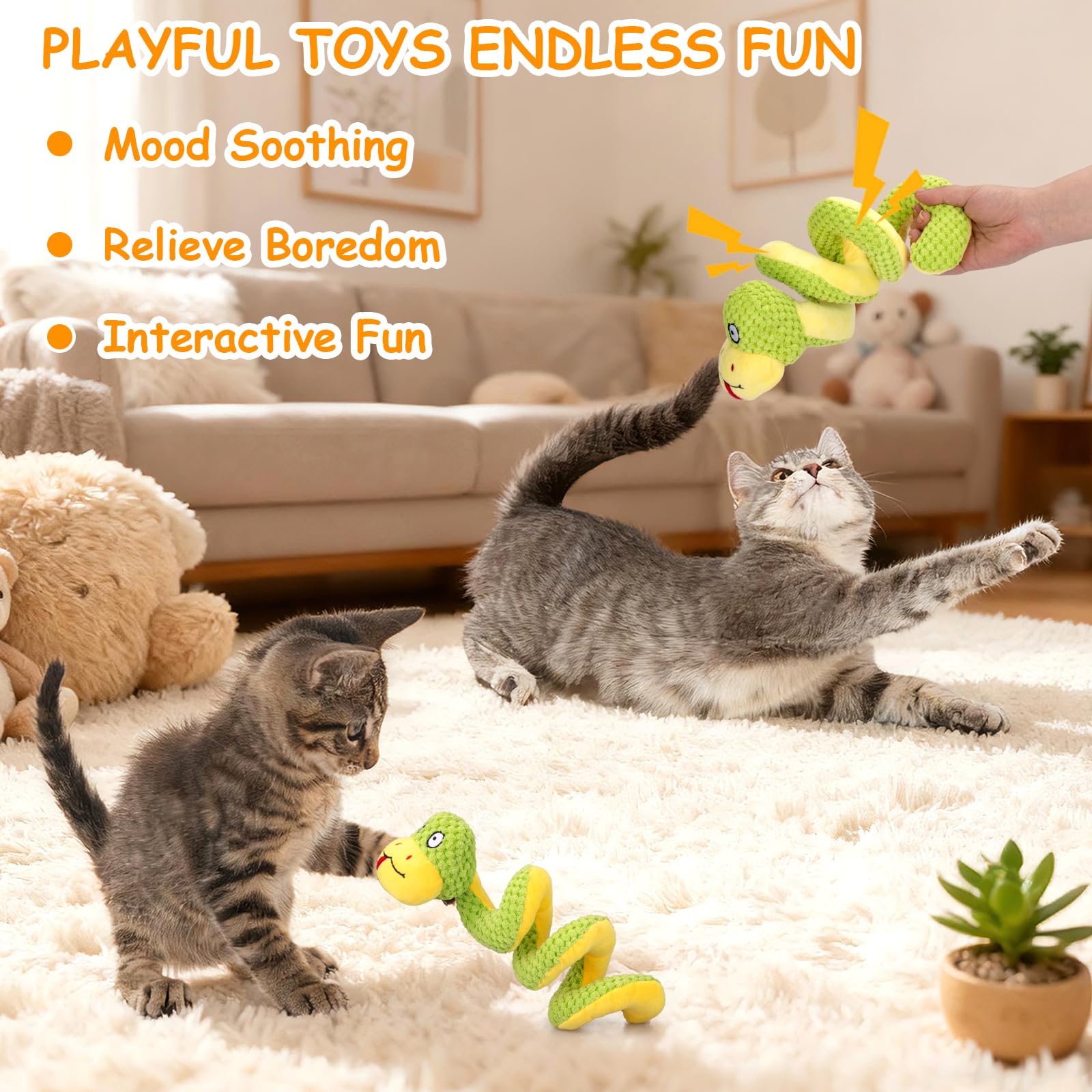 Retro Shaw gift-ready packaging suitable for holidays or birthdays