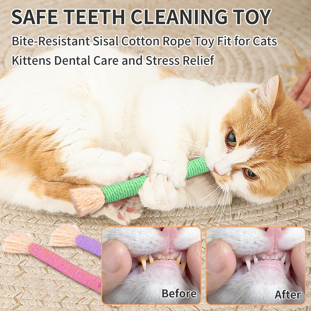 Retro Shaw multi-color catnip toys highlighting scent-rich playtime and teething relief.