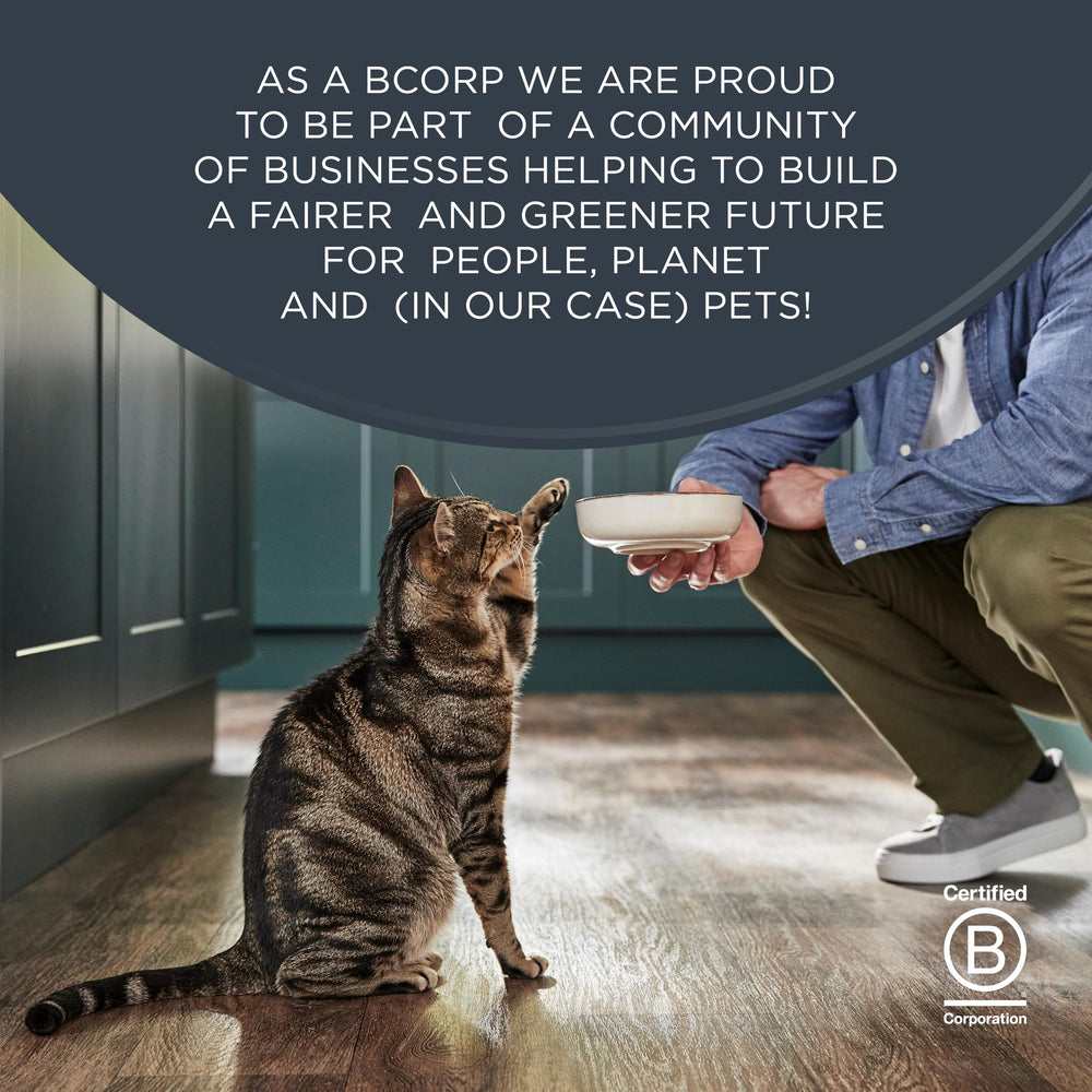 Reveal bcorp-certification-01 signals ethical, planet-friendly pet food choices.