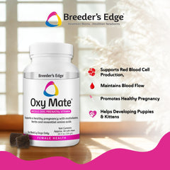 Oxy Mate bottle close-up demonstrates iron and folic acid support for pregnancy.