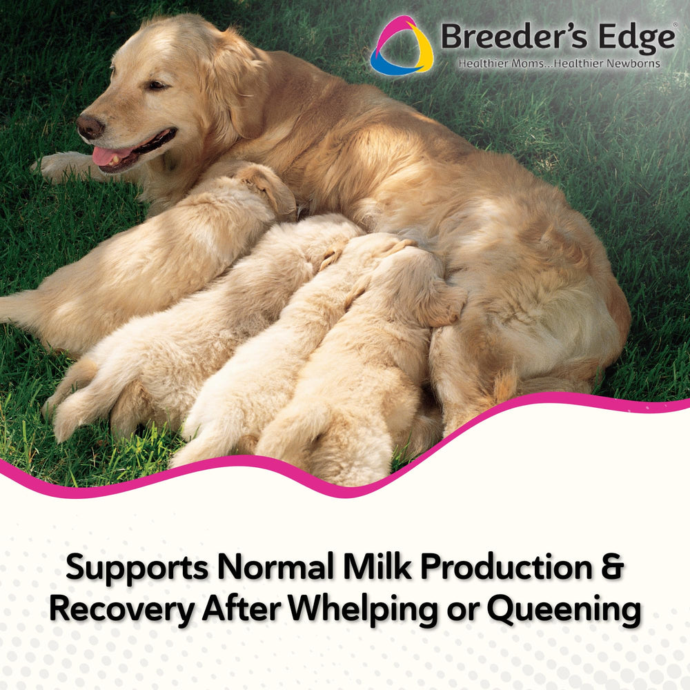 Revival Animal Health Breeder Edge Oxy Momma soft chews promoting hormone balance and breeding health.