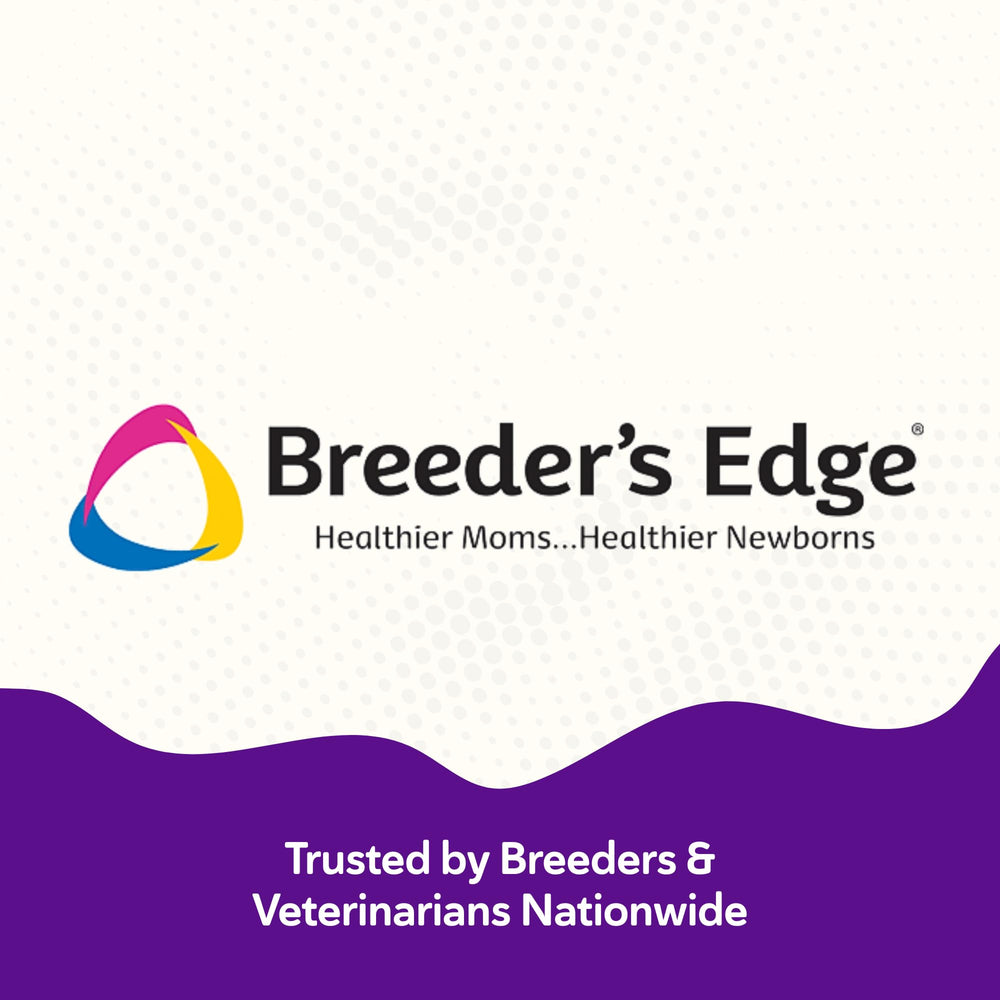 Revival Animal Health Breeder Edge Puppy Lyte after exercise supports recovery