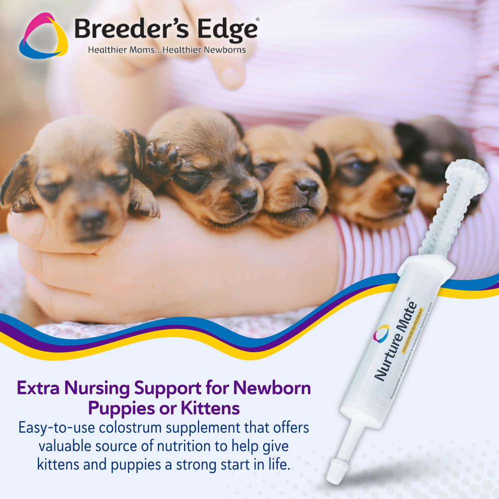 Revival Animal Health Nurture Mate puppy-nursing-scene supports energy during nursing