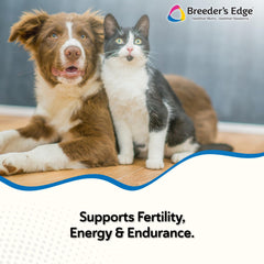 Revival Animal Health Breeder's Edge Oxy Stud soft-chews closeup highlighting palatable daily chews