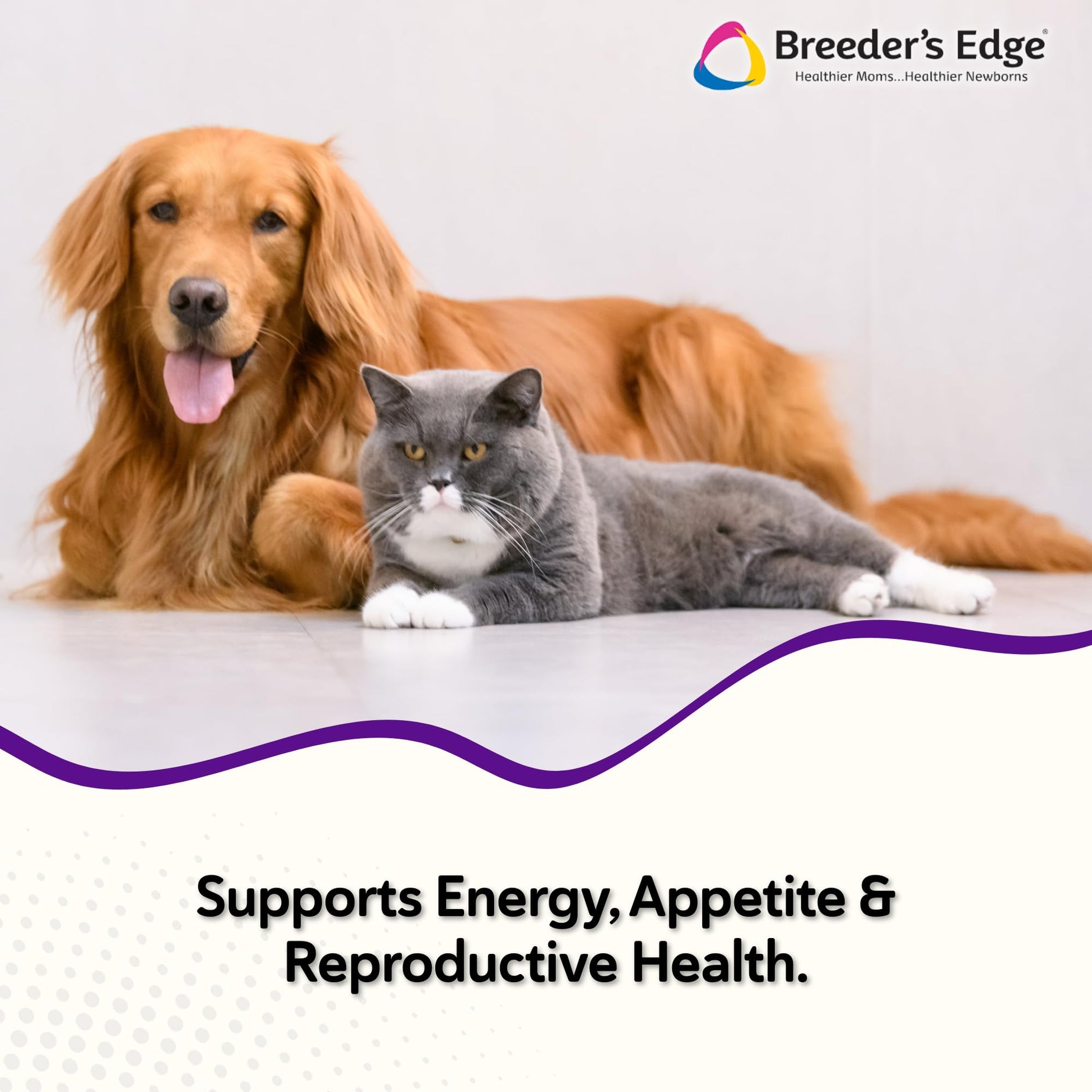 Revival Animal Health B Strong scoop demonstrates easy daily dosing for steady nutrition.