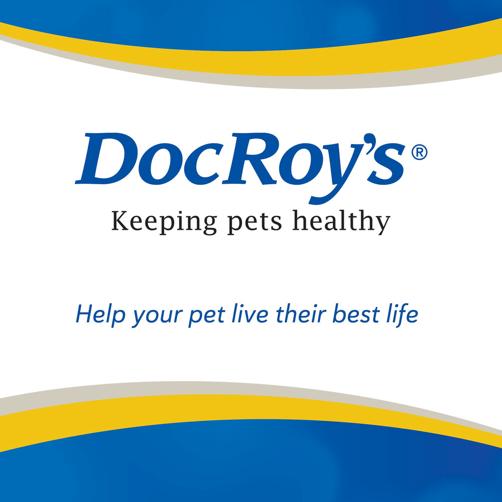 Daily routine with Doc Roy’s GI Synbiotics for digestive wellness