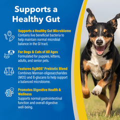 Granules closeup shows live cultures for gut health in Doc Roy’s