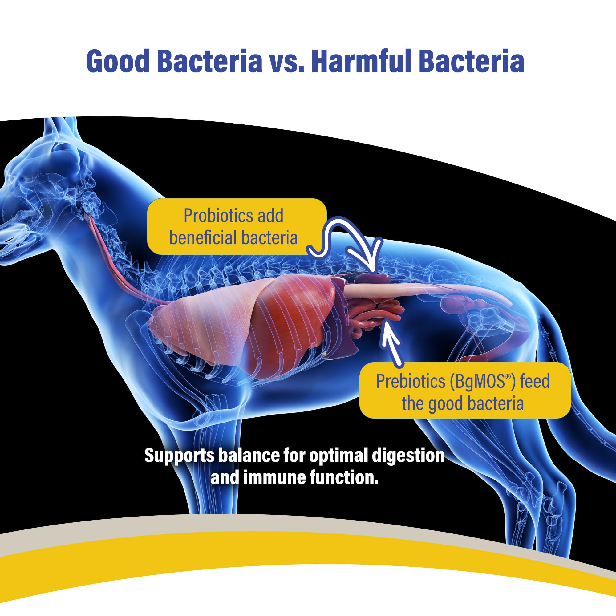 Scoop demonstrates convenient daily dosing of Doc Roy’s GI Synbiotics