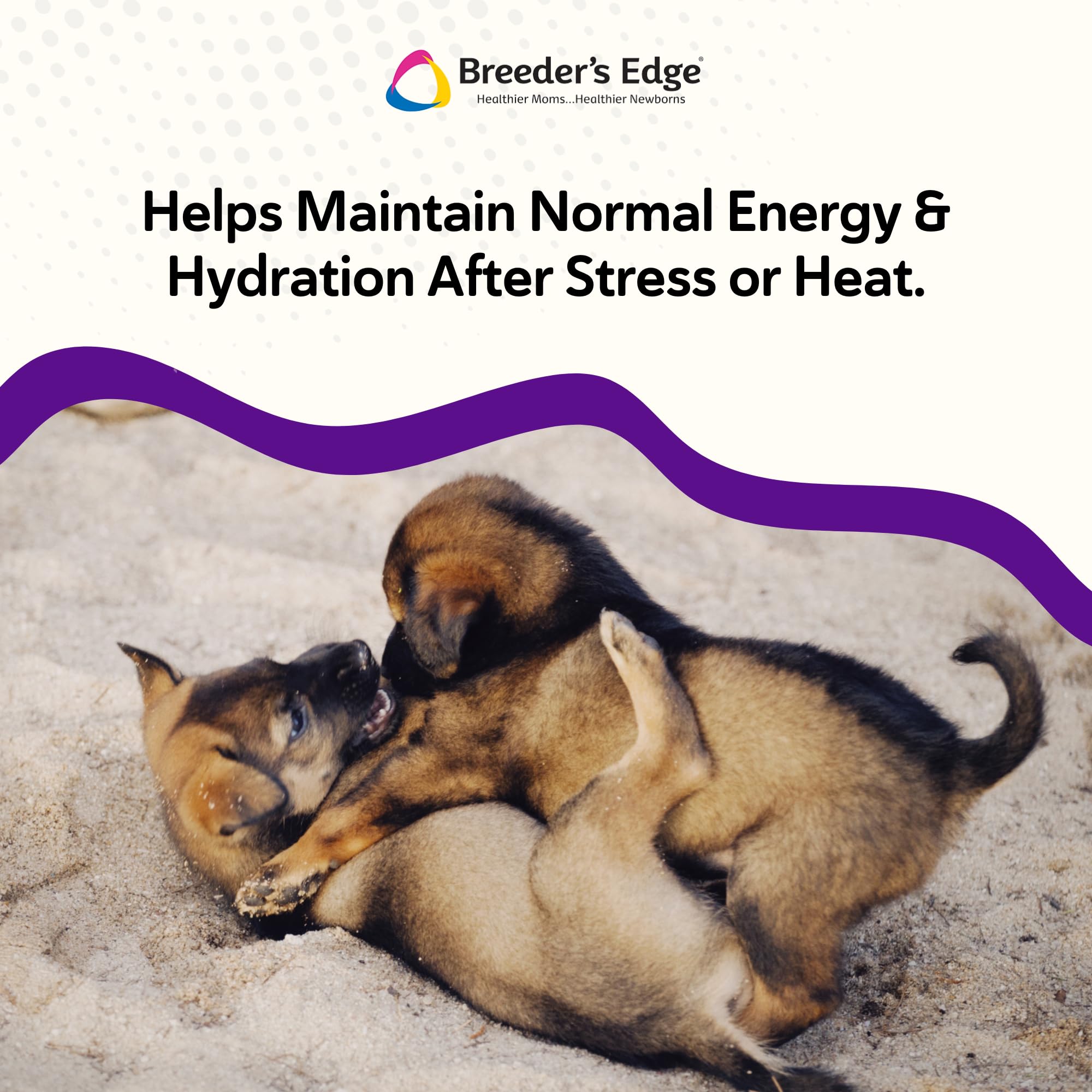 Revival Animal Health Puppy Lyte mixed with food for convenient hydration