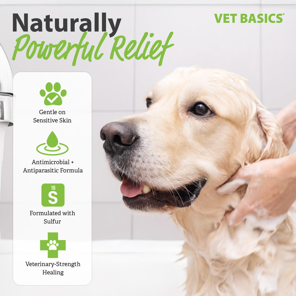 Revival Animal Health Vet Basics lime sulfur dip for horses demonstrates multi species skin care.