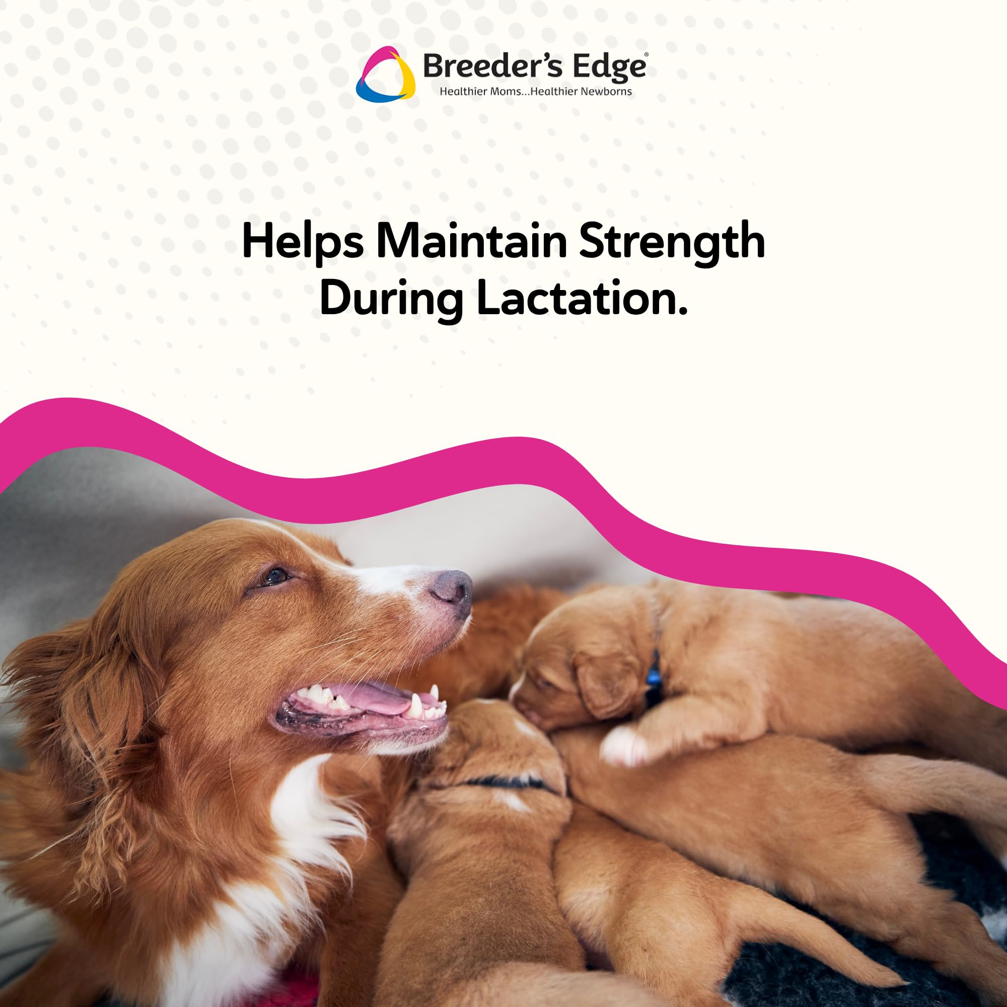 Breeder’s Edge Oral Cal Plus Powder goat milk base highlighted for easy digestion.