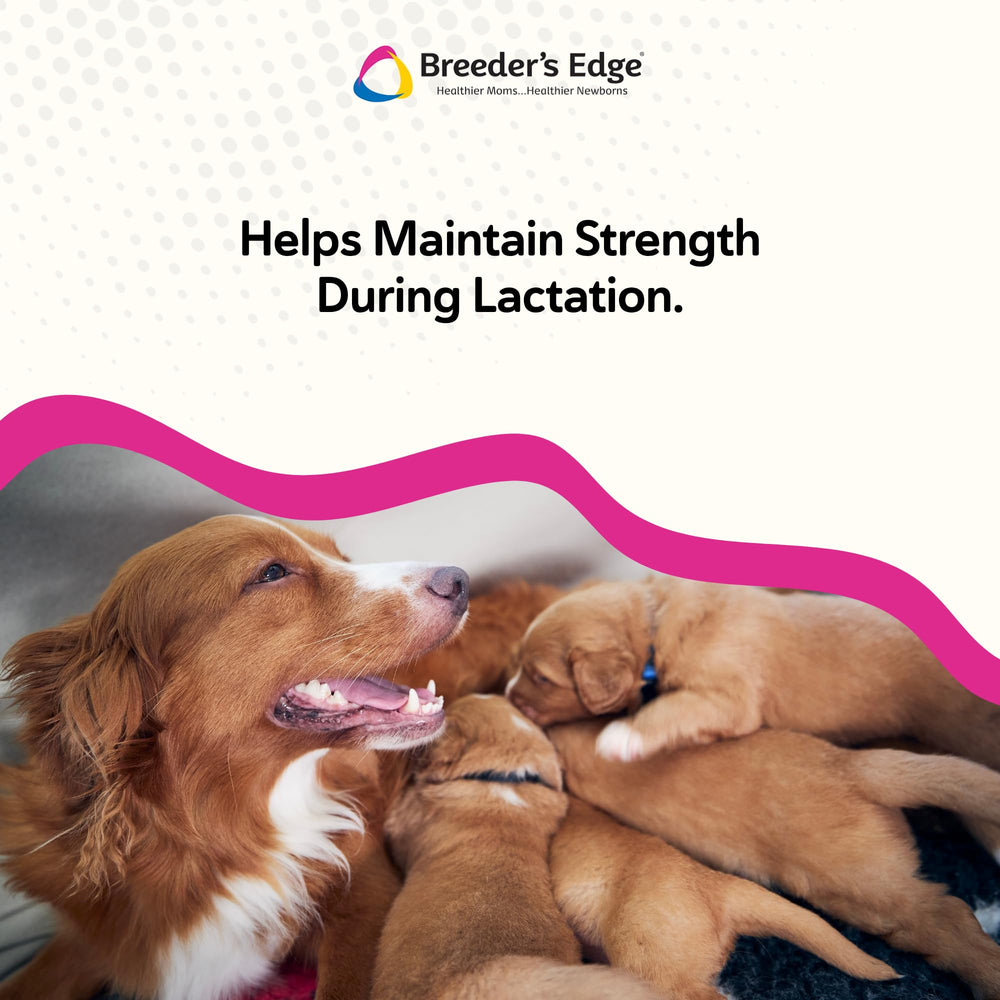 Breeder’s Edge Oral Cal Plus Powder goat milk base highlighted for easy digestion.