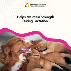 Breeder’s Edge Oral Cal Plus Powder goat milk base highlighted for easy digestion.