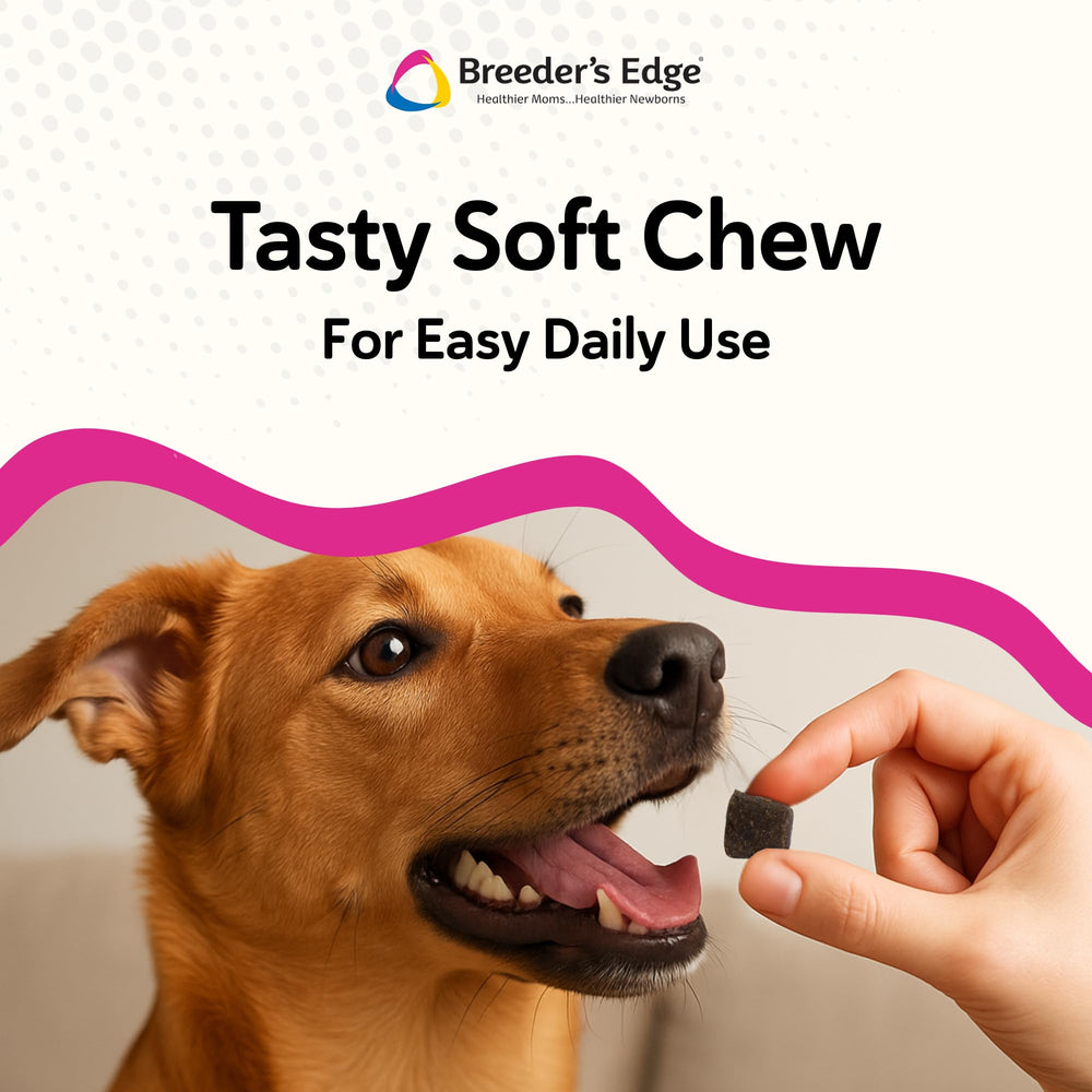 Revival Breeder's Edge Oxy Mate bottle pour demonstrates easy feeding.