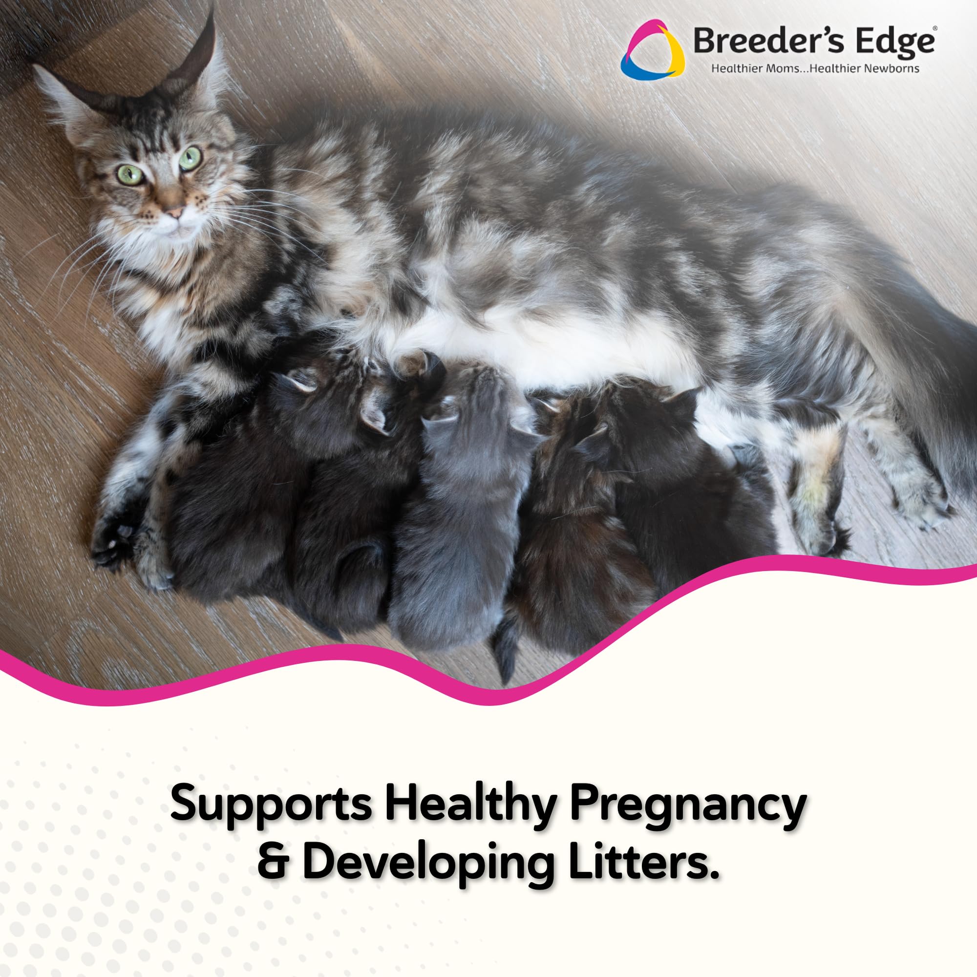 Revival Breeder's Edge Oxy Mate meat treats provide convenient prenatal nutrition.