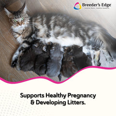 Revival Breeder's Edge Oxy Mate meat treats provide convenient prenatal nutrition.