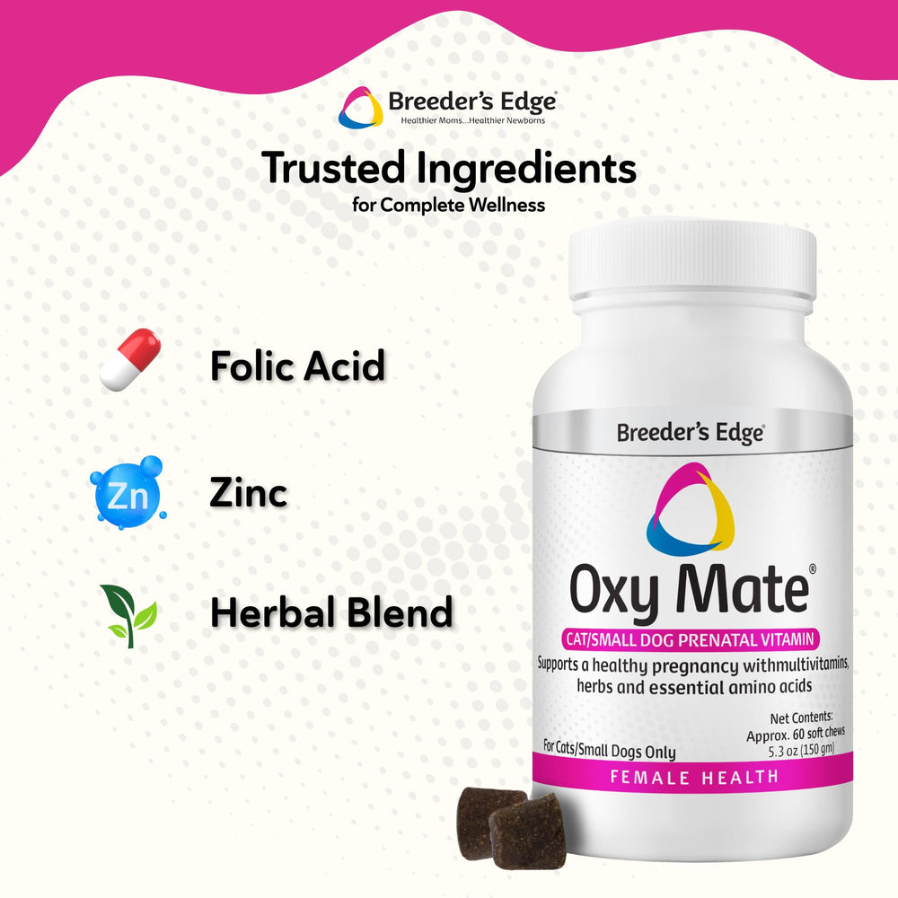 Pregnant dogs and cats with Oxy Mate for comprehensive prenatal nutrition.