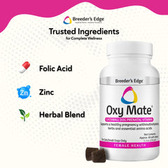 Pregnant dogs and cats with Oxy Mate for comprehensive prenatal nutrition.