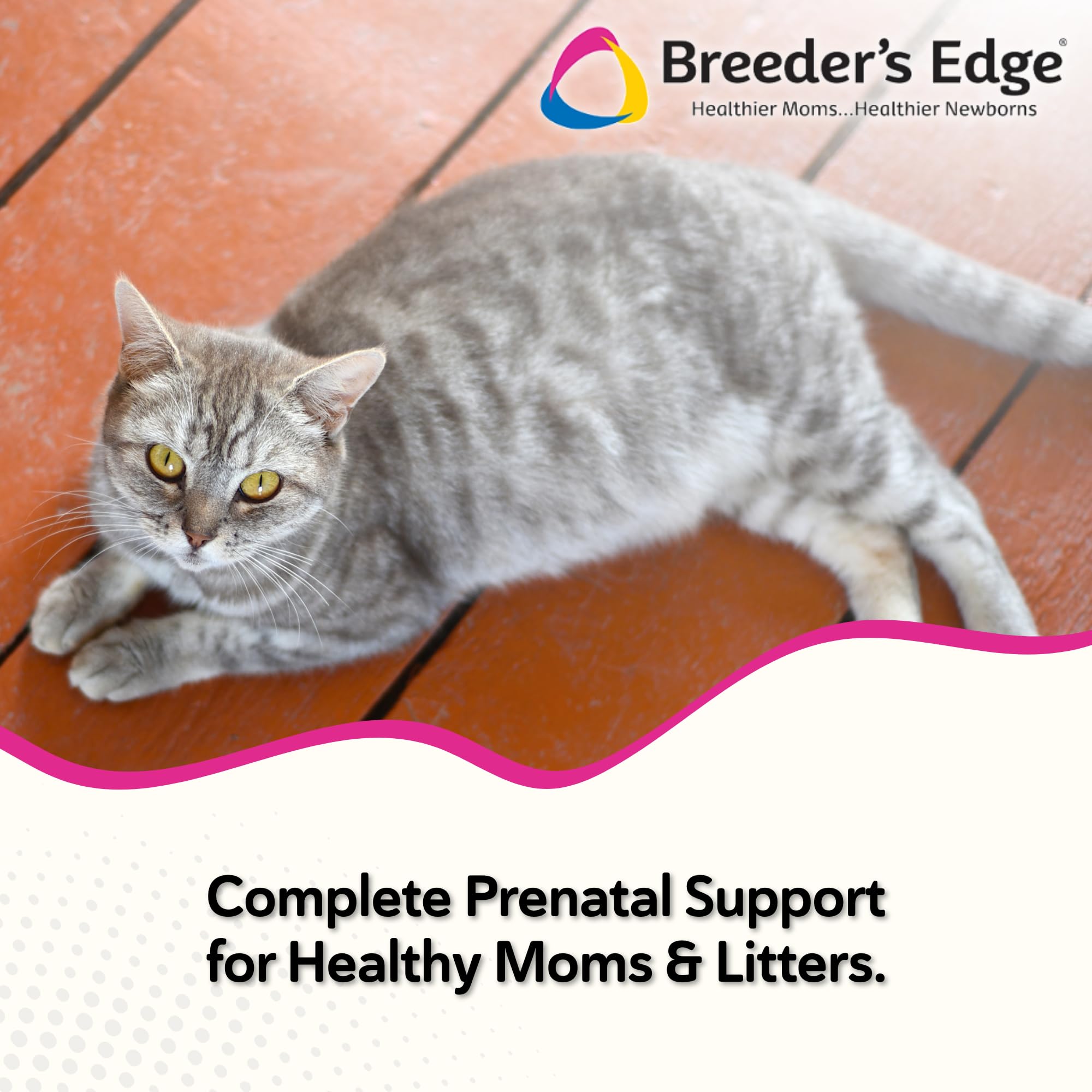 Oxy Mate soft chews shown for easy daily administration in pregnant pets.