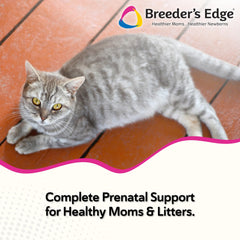 Oxy Mate soft chews shown for easy daily administration in pregnant pets.