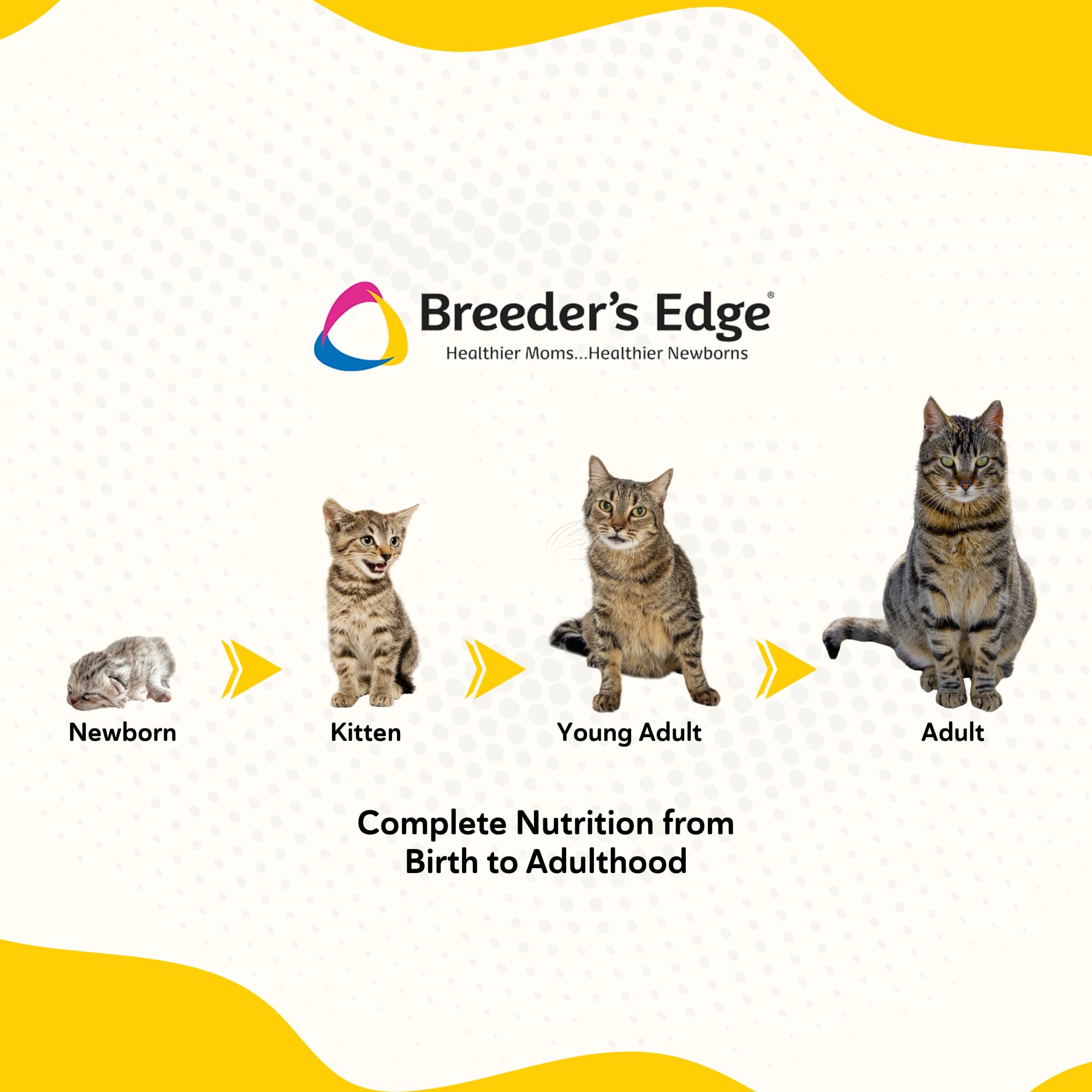 Breeder's Edge Foster Care Feline Bio-Mos aids gut balance.