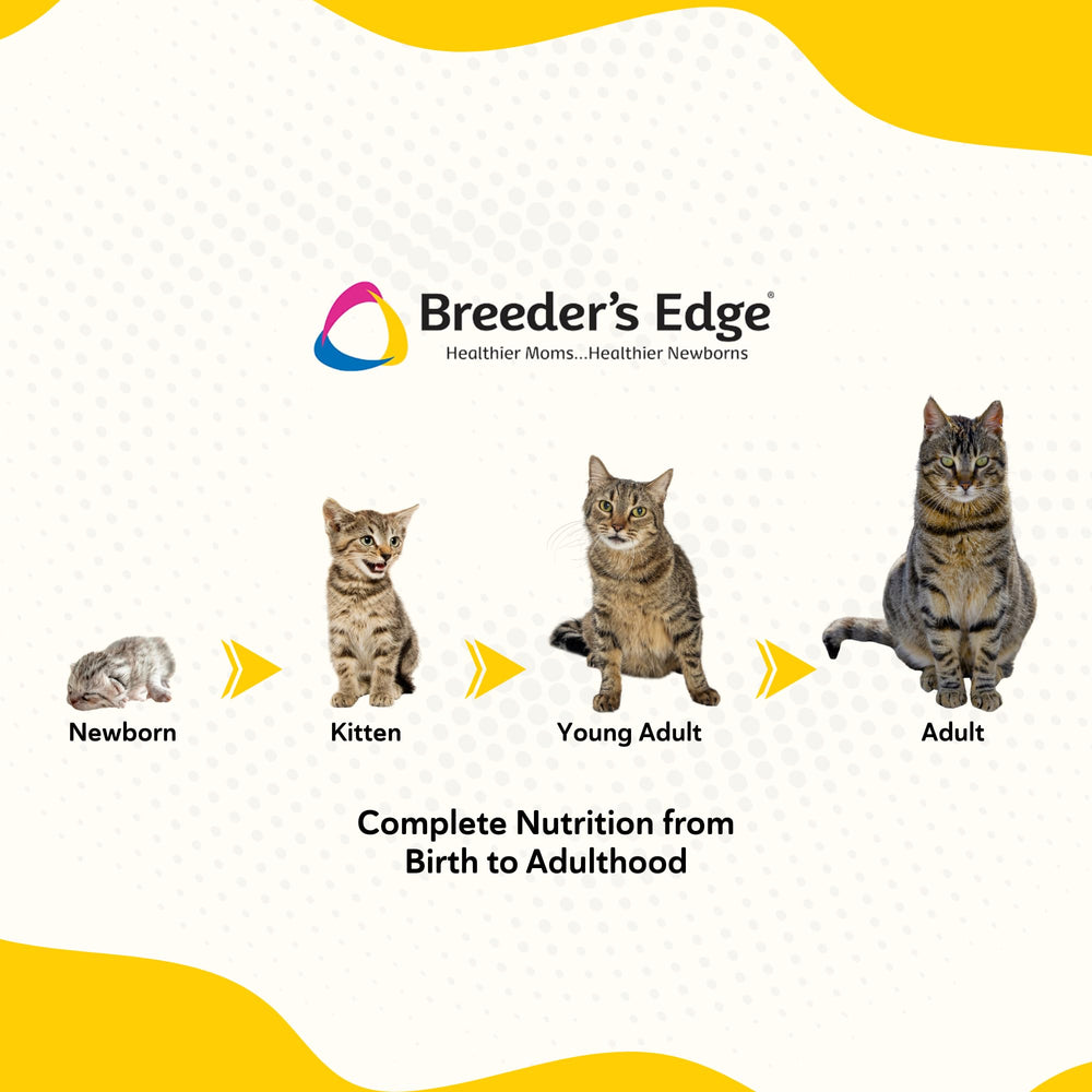 Breeder's Edge Foster Care Feline Bio-Mos aids gut balance.
