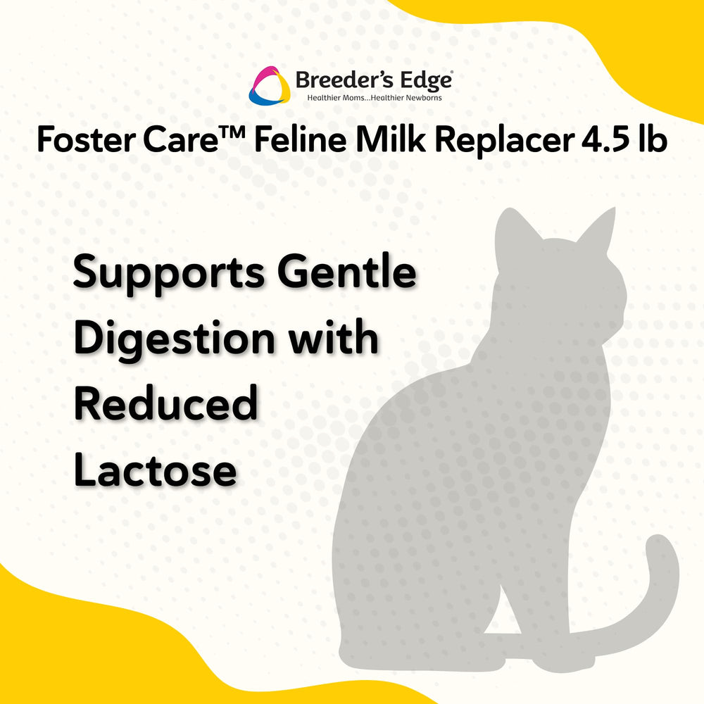Breeder's Edge Foster Care Feline supports nursing mothers during recovery.