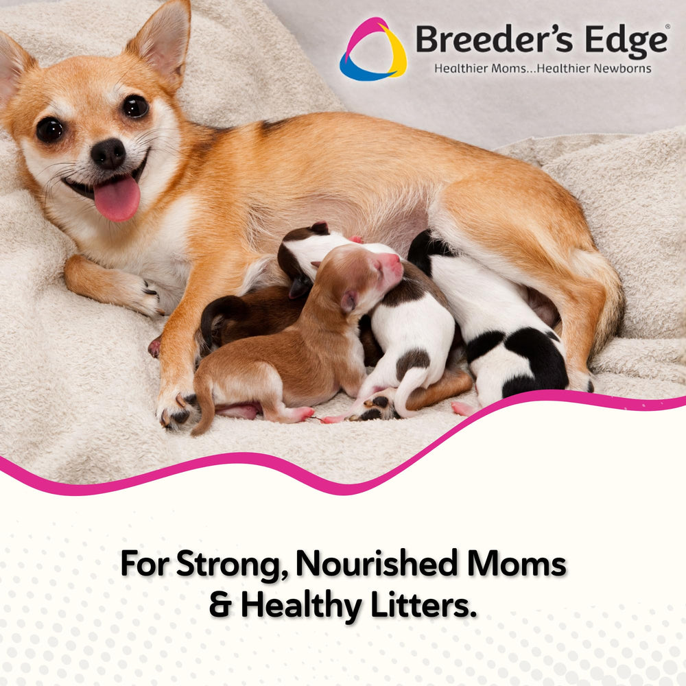 Oxy Momma Soft Chews bottle demonstrates milk production support during nursing for dogs and cats