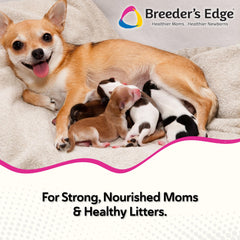 Oxy Momma Soft Chews bottle demonstrates milk production support during nursing for dogs and cats