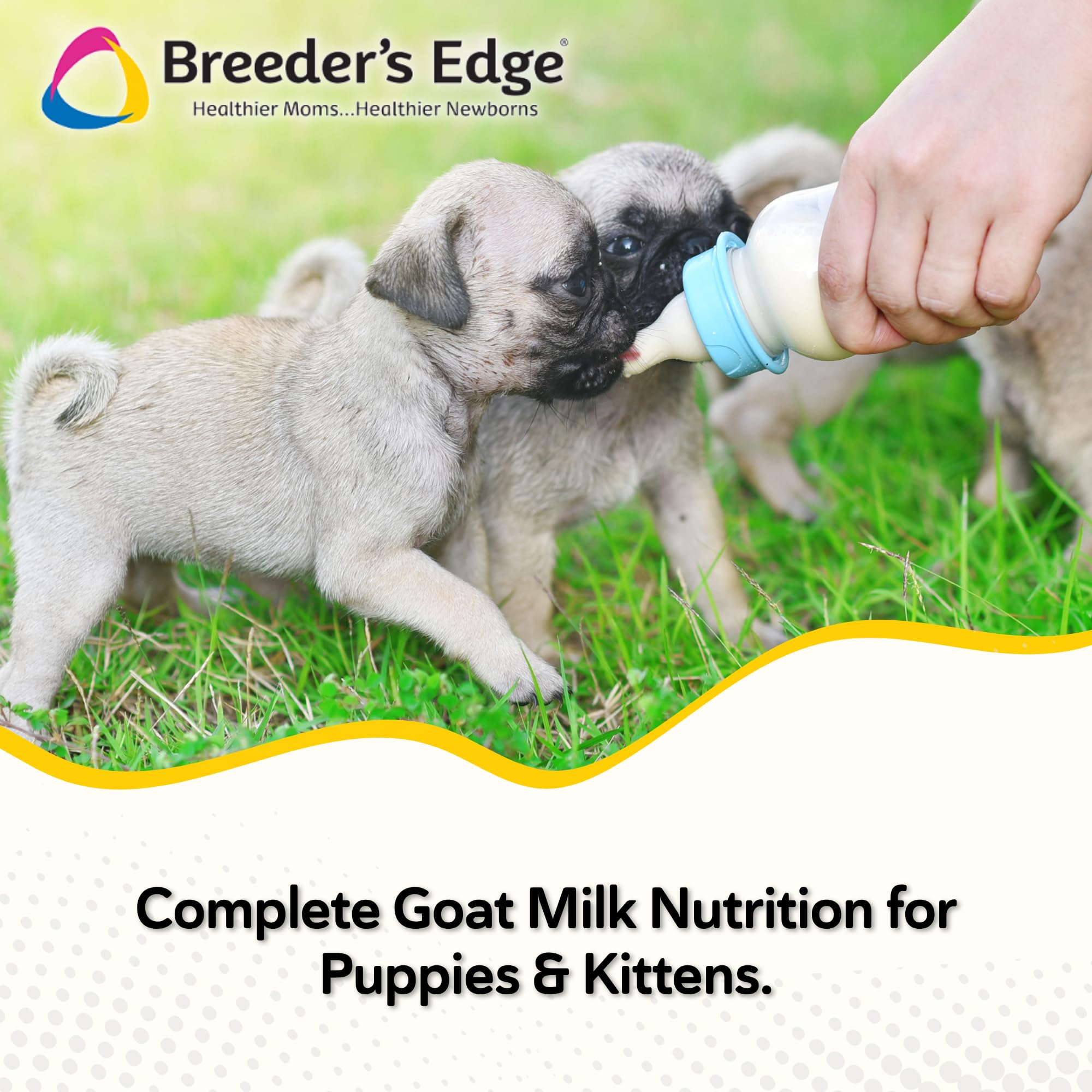 Revival Foster Care GM kitten-feeding highlights goat milk nutrition for kittens