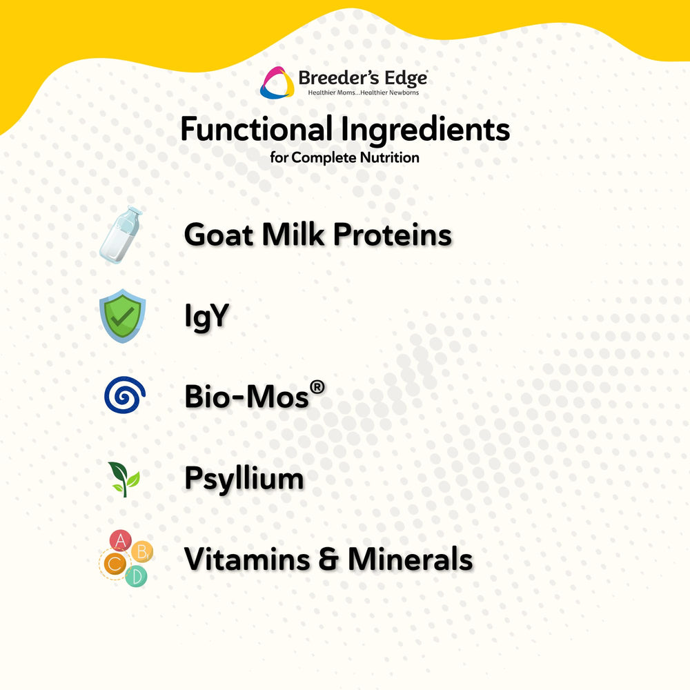 Revival Foster Care GM pregnant-lactating-dog-cat image signals nutrition support