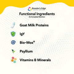 Revival Foster Care GM pregnant-lactating-dog-cat image signals nutrition support